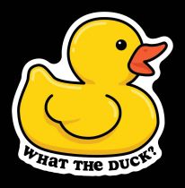 What The Duck