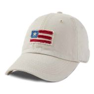 American Flag Tattered Chill Hat
